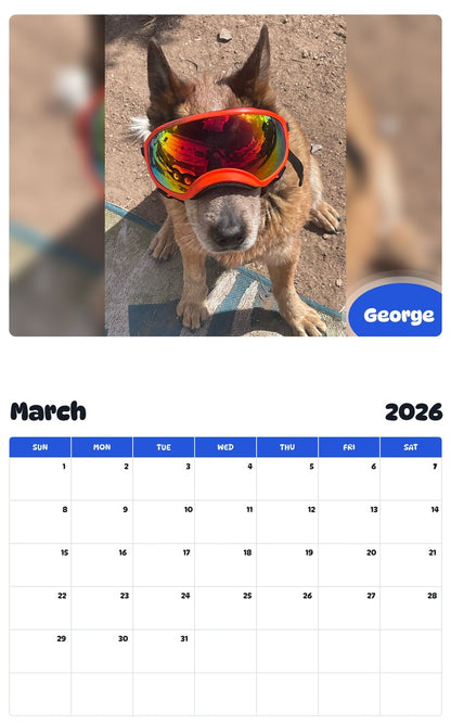 November 2025 - October 2026 George - Pawidols Pet Calendar