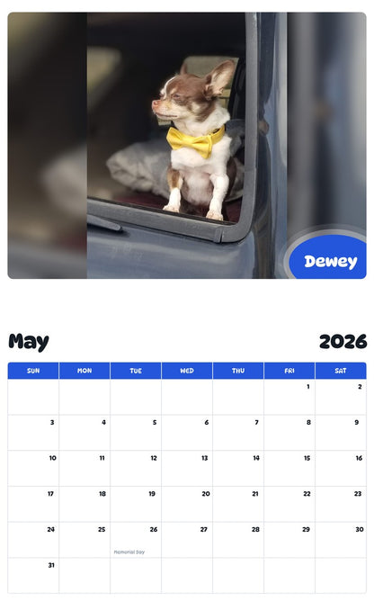 2026 - 2027 Dewey - Pawidols Pet Calendar