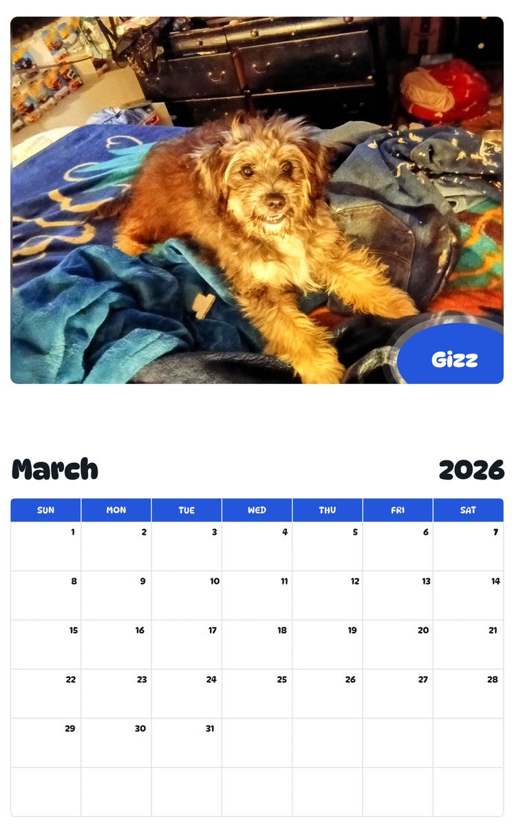 November 2025 - October 2026 Gizz - Pawidols Pet Calendar