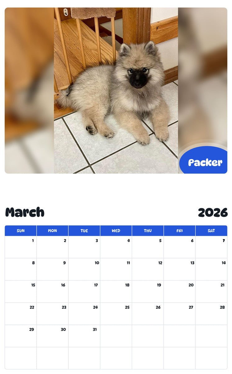 November 2025 - October 2026 Packer - Pawidols Pet Calendar