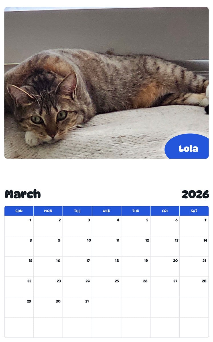 November 2025 - October 2026 Lola - Pawidols Pet Calendar
