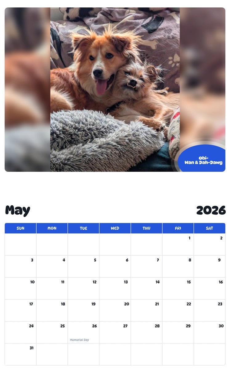 2026 - 2027 Obi-Wan & Dah-Dawg - Pawidols Pet Calendar