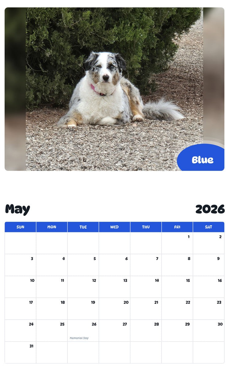 2026 - 2027 Blue - Pawidols Pet Calendar