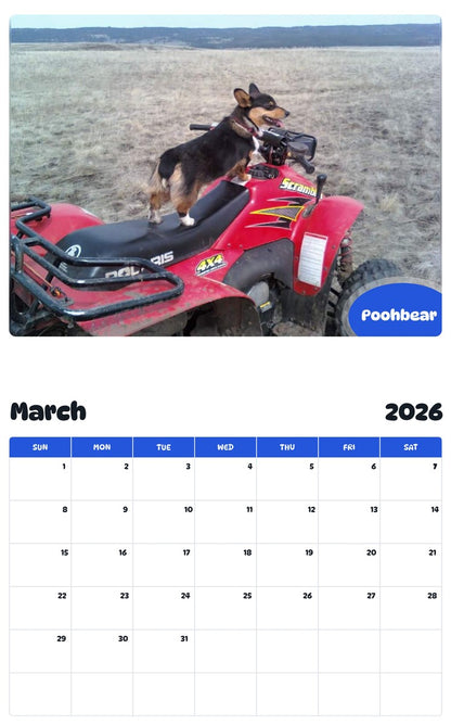 November 2025 - October 2026 Poohbear - Pawidols Pet Calendar