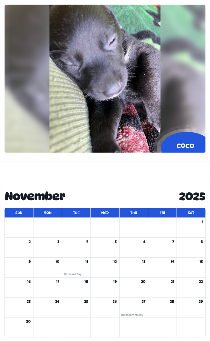 July 2025 - June 2026 CoCo - Pawidols Pet Calendar