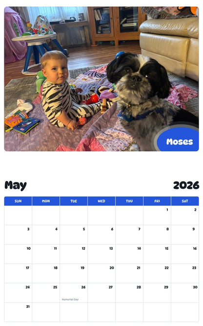 2026 - 2027 Moses - Pawidols Pet Calendar