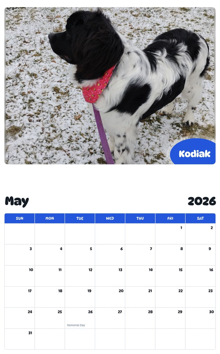 2026 - 2027 Kodiak - Pawidols Pet Calendar