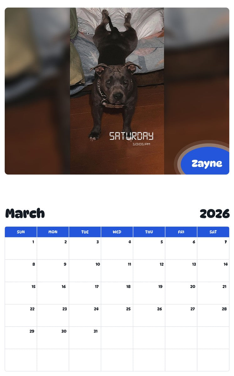 November 2025 - October 2026 Zayne - Pawidols Pet Calendar