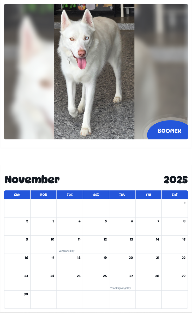 July 2025 - June 2026 Boomer - Pawidols Pet Calendar