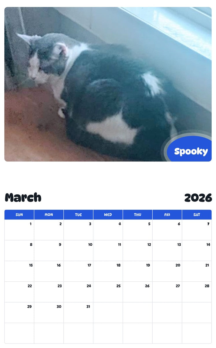 November 2025 - October 2026 Spooky - Pawidols Pet Calendar