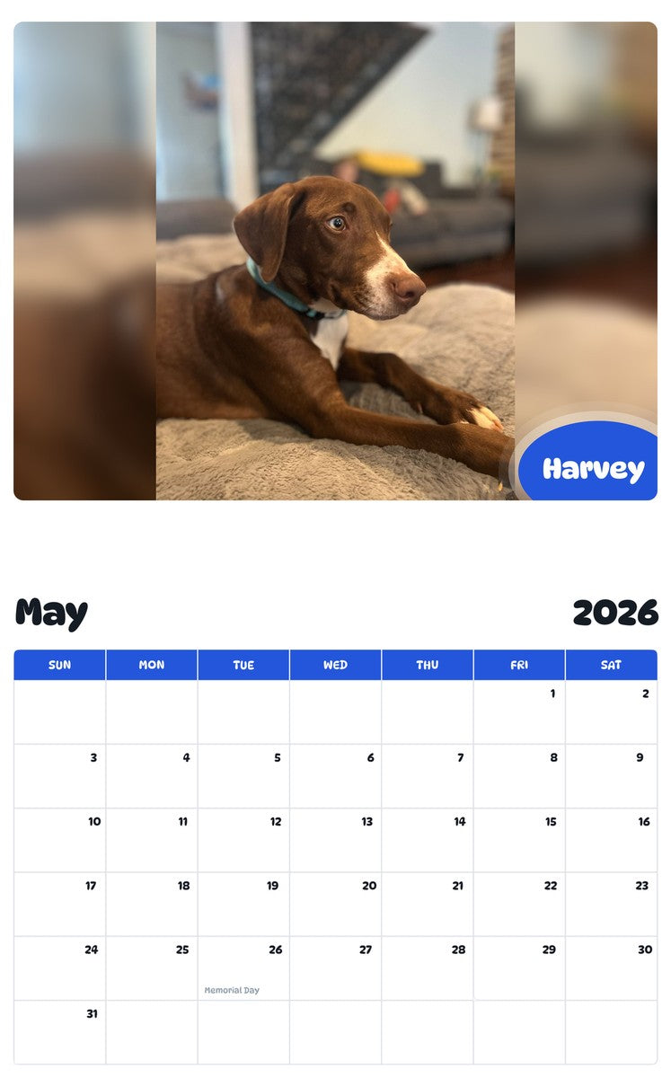 2026 - 2027 Harvey - Pawidols Pet Calendar