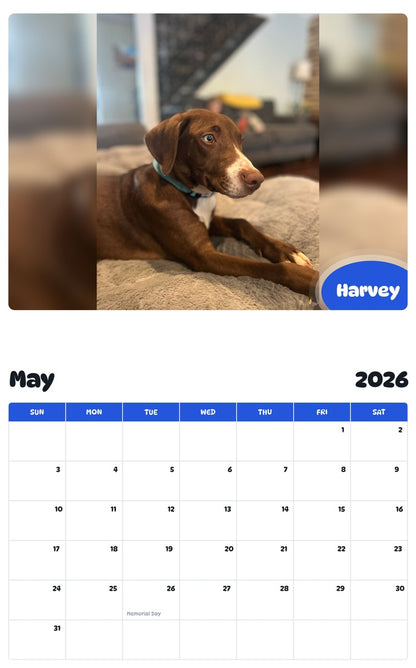 2026 - 2027 Harvey - Pawidols Pet Calendar