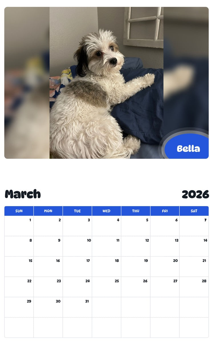 November 2025 - October 2026 Bella - Pawidols Pet Calendar
