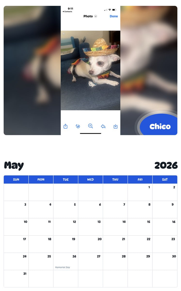 2026 - 2027 Chico - Pawidols Pet Calendar