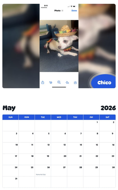 2026 - 2027 Chico - Pawidols Pet Calendar