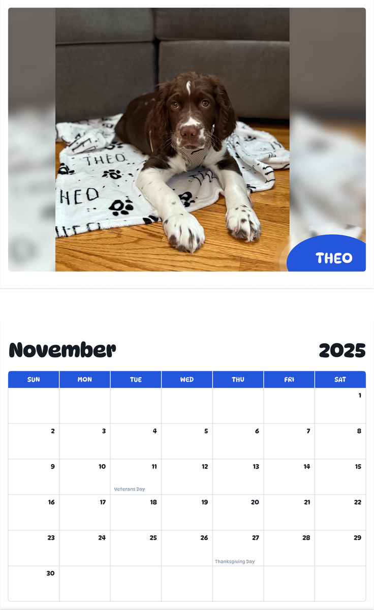 July 2025 - June 2026 Theo - Pawidols Pet Calendar