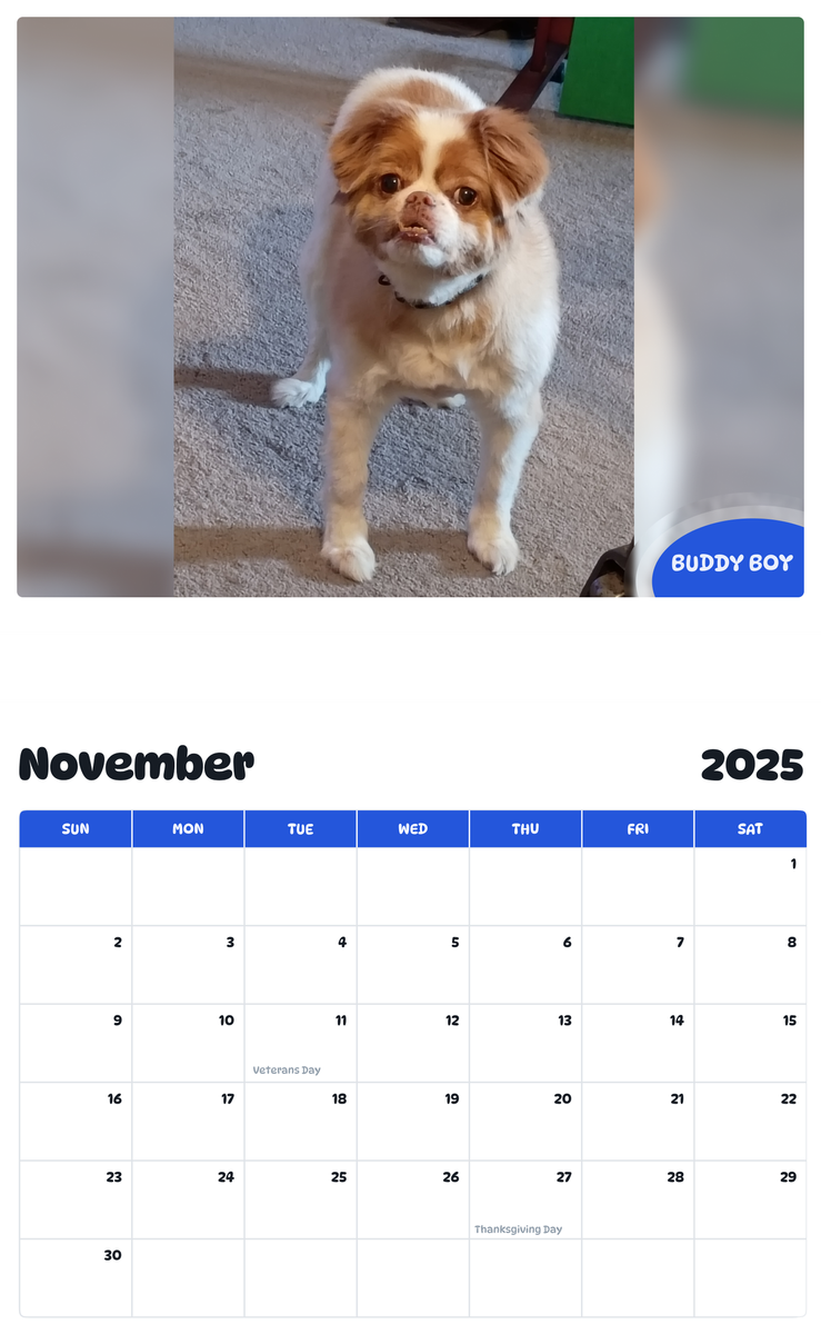July 2025 - June 2026 Buddy Boy - Pawidols Pet Calendar