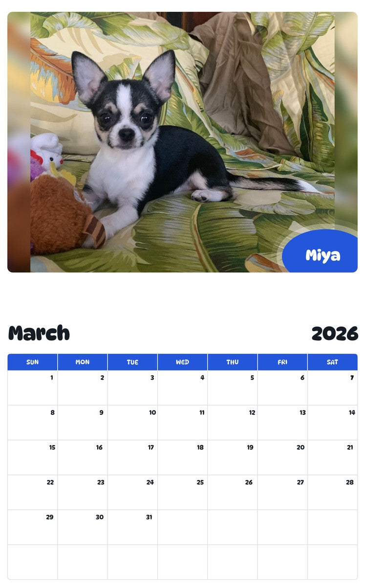 November 2025 - October 2026 Miya - Pawidols Pet Calendar