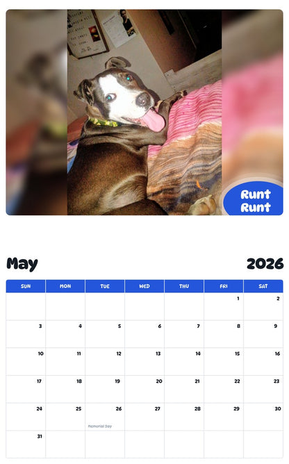 2026 - 2027 Runt Runt - Pawidols Pet Calendar