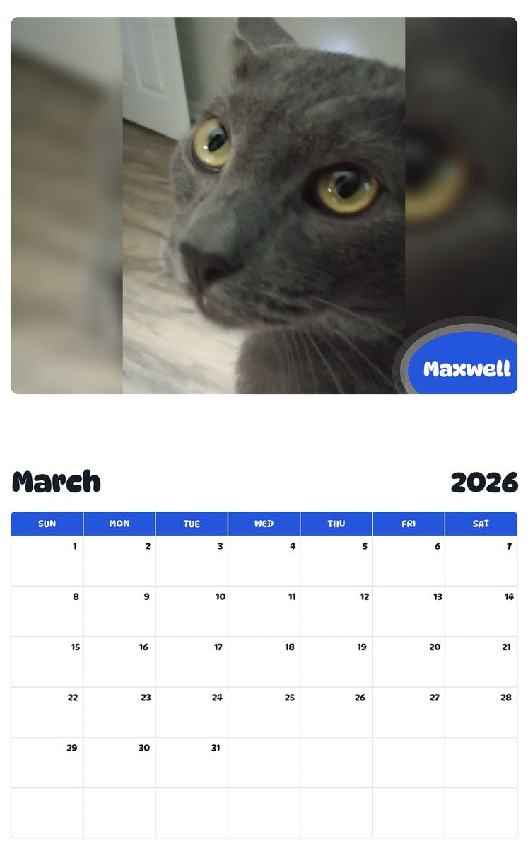 November 2025 - October 2026 Maxwell - Pawidols Pet Calendar