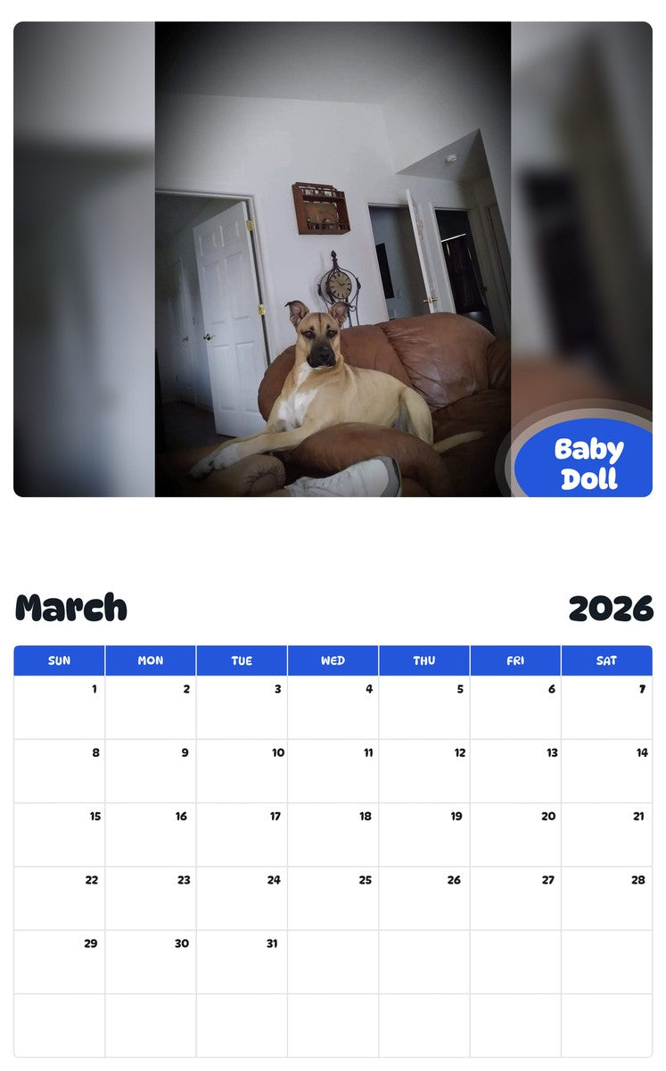 November 2025 - October 2026 Baby Doll - Pawidols Pet Calendar
