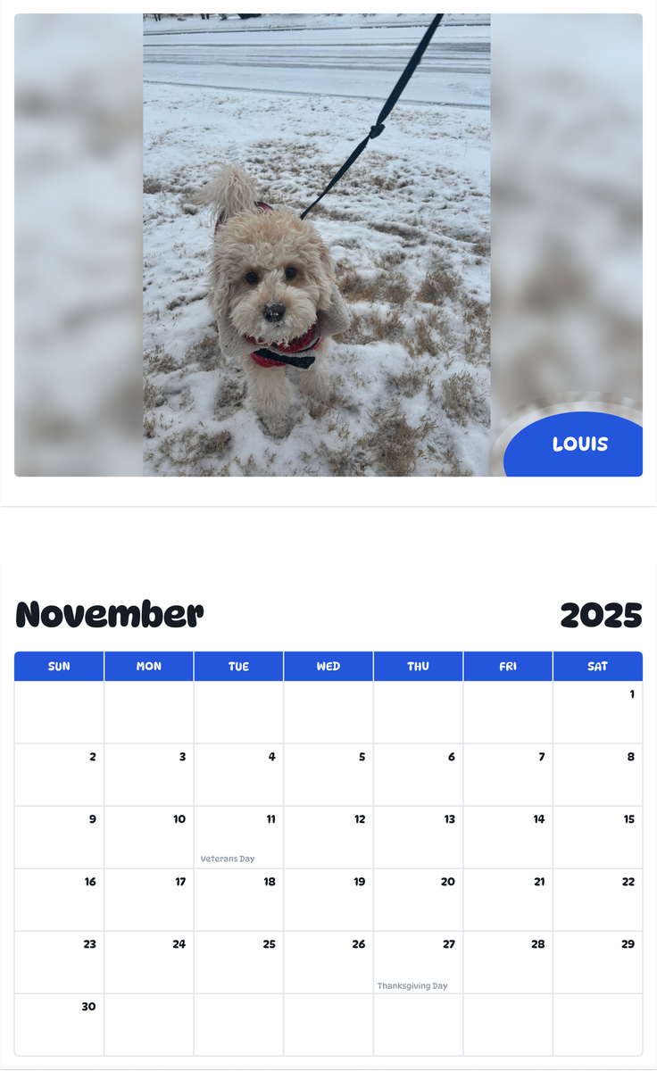 July 2025 - June 2026 Louis - Pawidols Pet Calendar