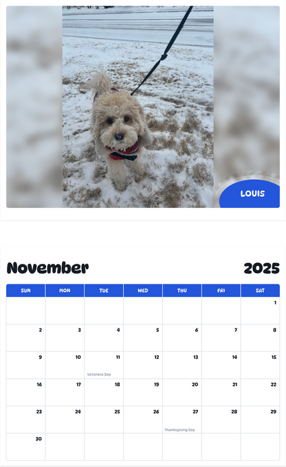 July 2025 - June 2026 Louis - Pawidols Pet Calendar