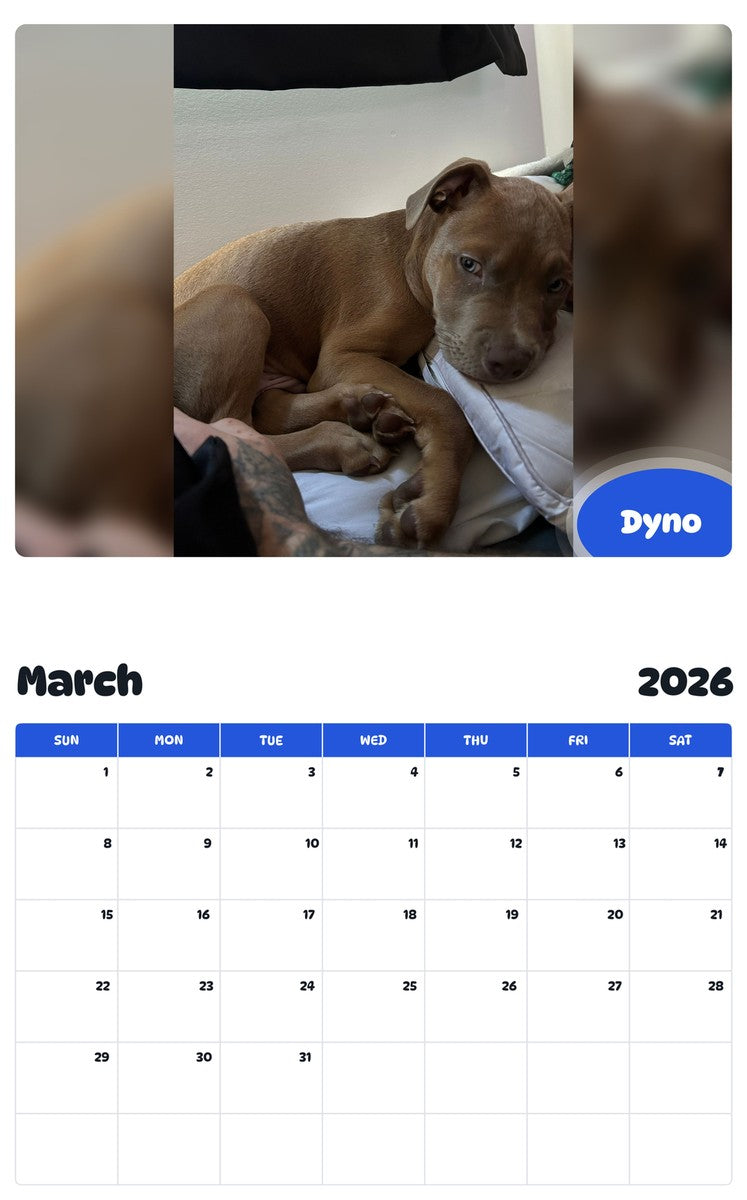 November 2025 - October 2026 Dyno - Pawidols Pet Calendar