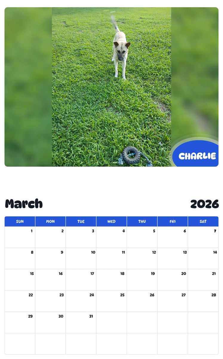 November 2025 - October 2026 CHARLIE - Pawidols Pet Calendar