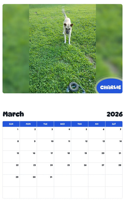 November 2025 - October 2026 CHARLIE - Pawidols Pet Calendar