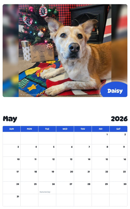 2026 - 2027 Daisy - Pawidols Pet Calendar