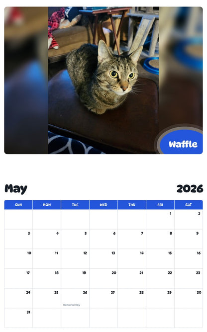 2026 - 2027 Waffle - Pawidols Pet Calendar