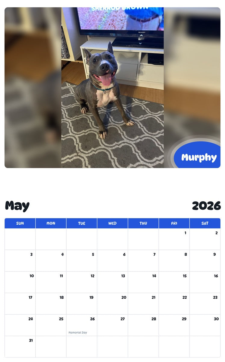 2026 - 2027 Murphy - Pawidols Pet Calendar