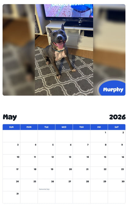 2026 - 2027 Murphy - Pawidols Pet Calendar