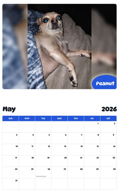 2026 - 2027 Peanut - Pawidols Pet Calendar