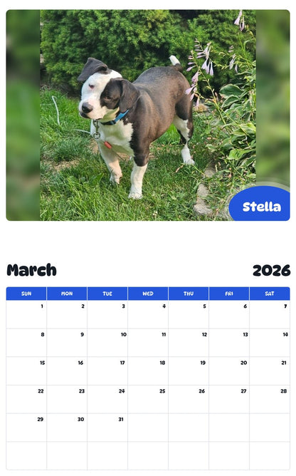 November 2025 - October 2026 Stella - Pawidols Pet Calendar