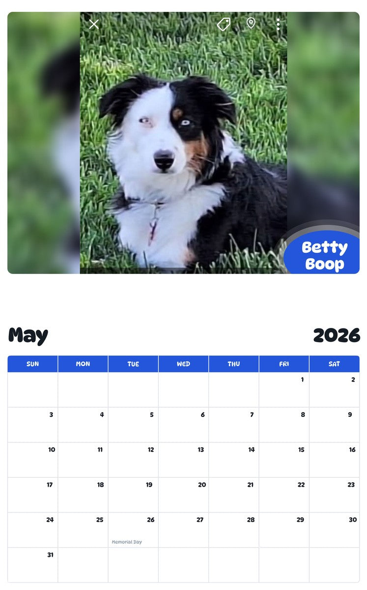 2026 - 2027 Betty Boop - Pawidols Pet Calendar