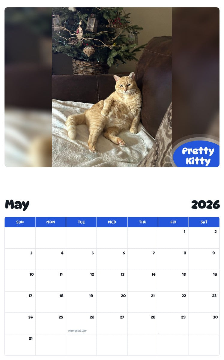 2026 - 2027 Pretty Kitty - Pawidols Pet Calendar