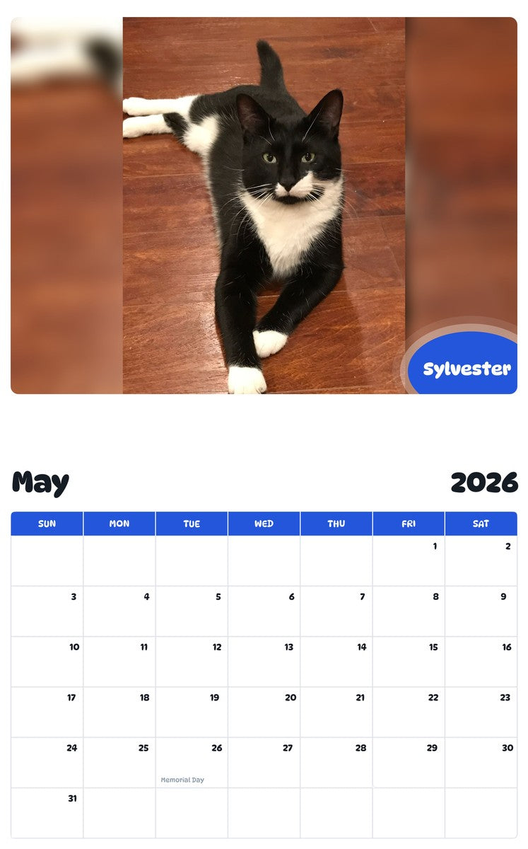 2026 - 2027 Sylvester - Pawidols Pet Calendar