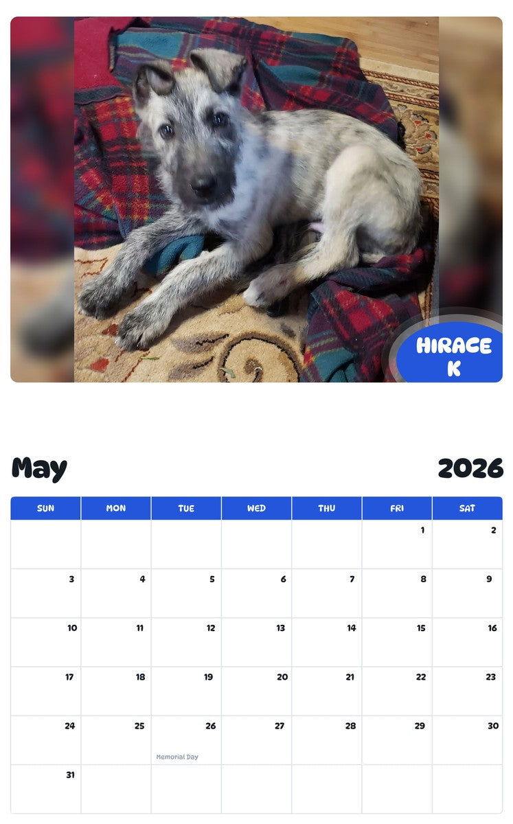 2026 - 2027 HIRACE K - Pawidols Pet Calendar