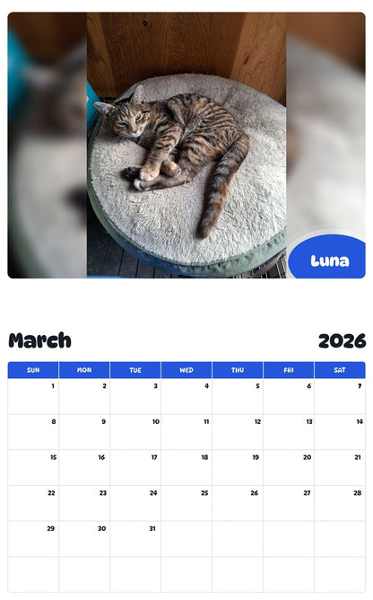 November 2025 - October 2026 Luna - Pawidols Pet Calendar