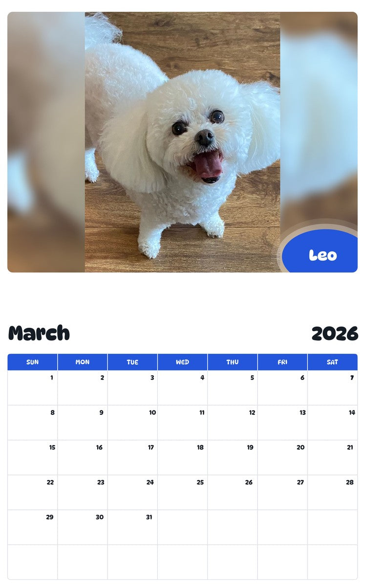 November 2025 - October 2026 Leo - Pawidols Pet Calendar