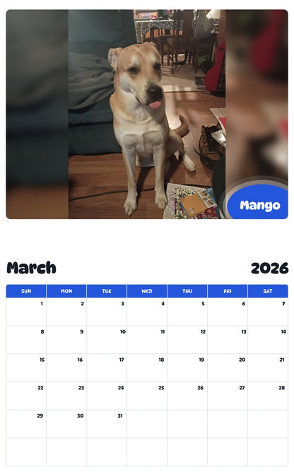 November 2025 - October 2026 Mango - Pawidols Pet Calendar
