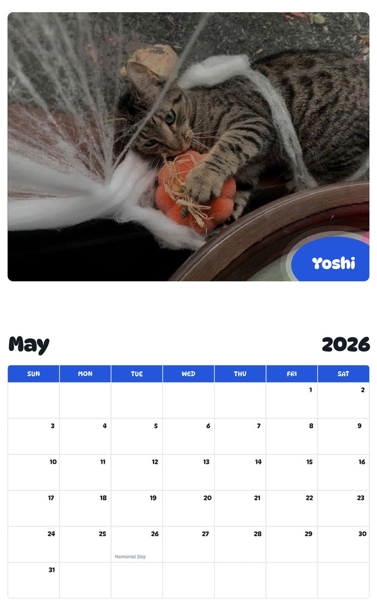 2026 - 2027 Yoshi - Pawidols Pet Calendar