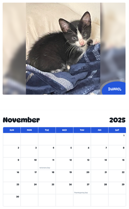 July 2025 - June 2026 Daniel - Pawidols Pet Calendar