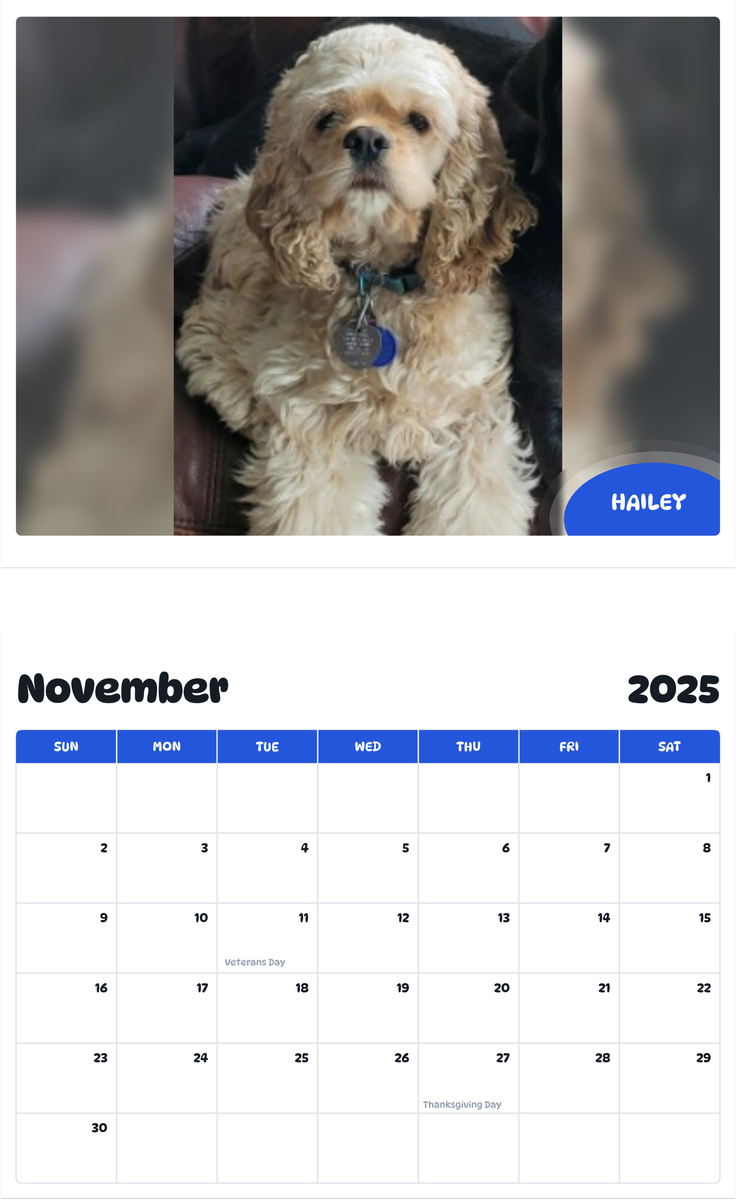 July 2025 - June 2026 Hailey - Pawidols Pet Calendar