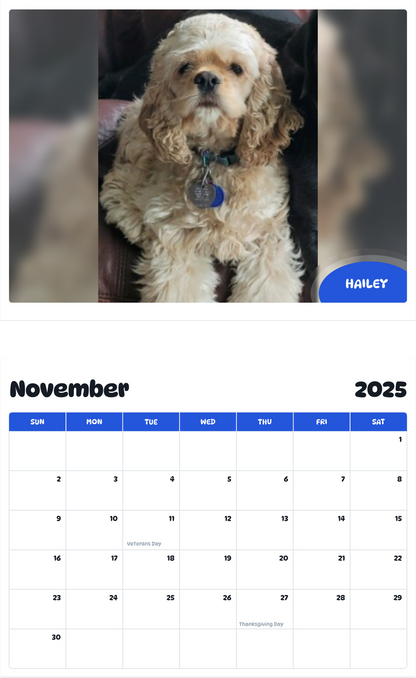 July 2025 - June 2026 Hailey - Pawidols Pet Calendar