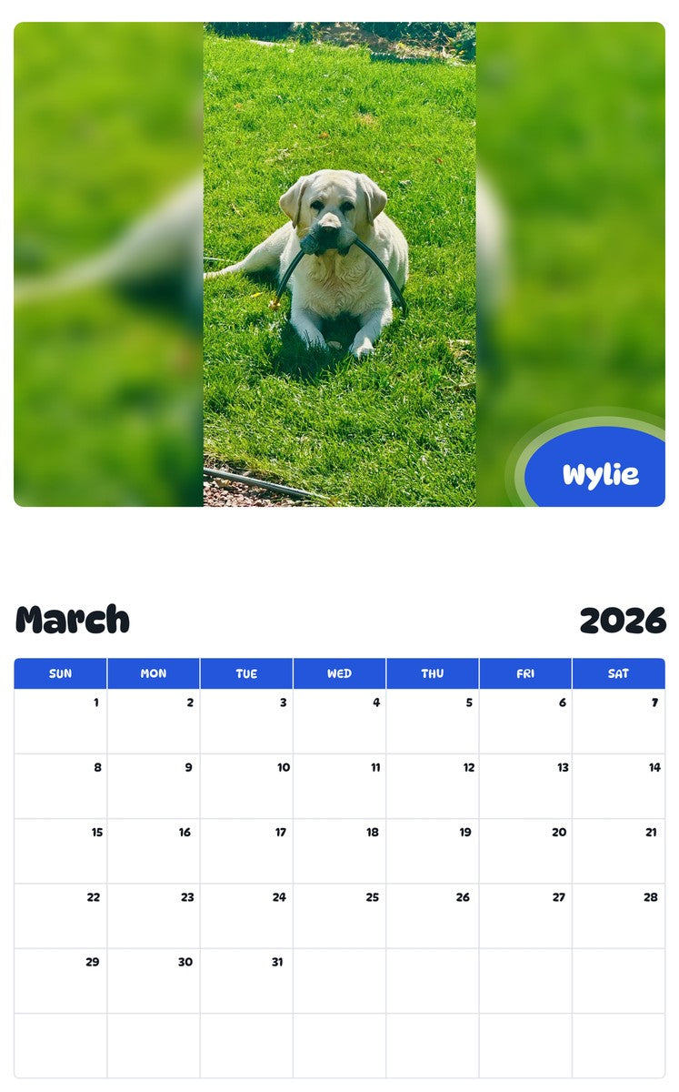November 2025 - October 2026 Wylie - Pawidols Pet Calendar