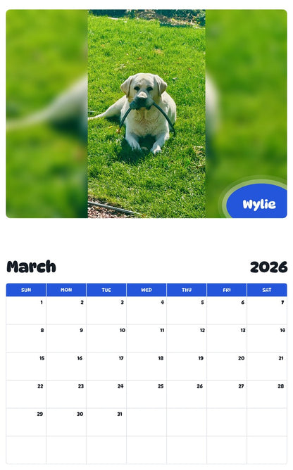 November 2025 - October 2026 Wylie - Pawidols Pet Calendar