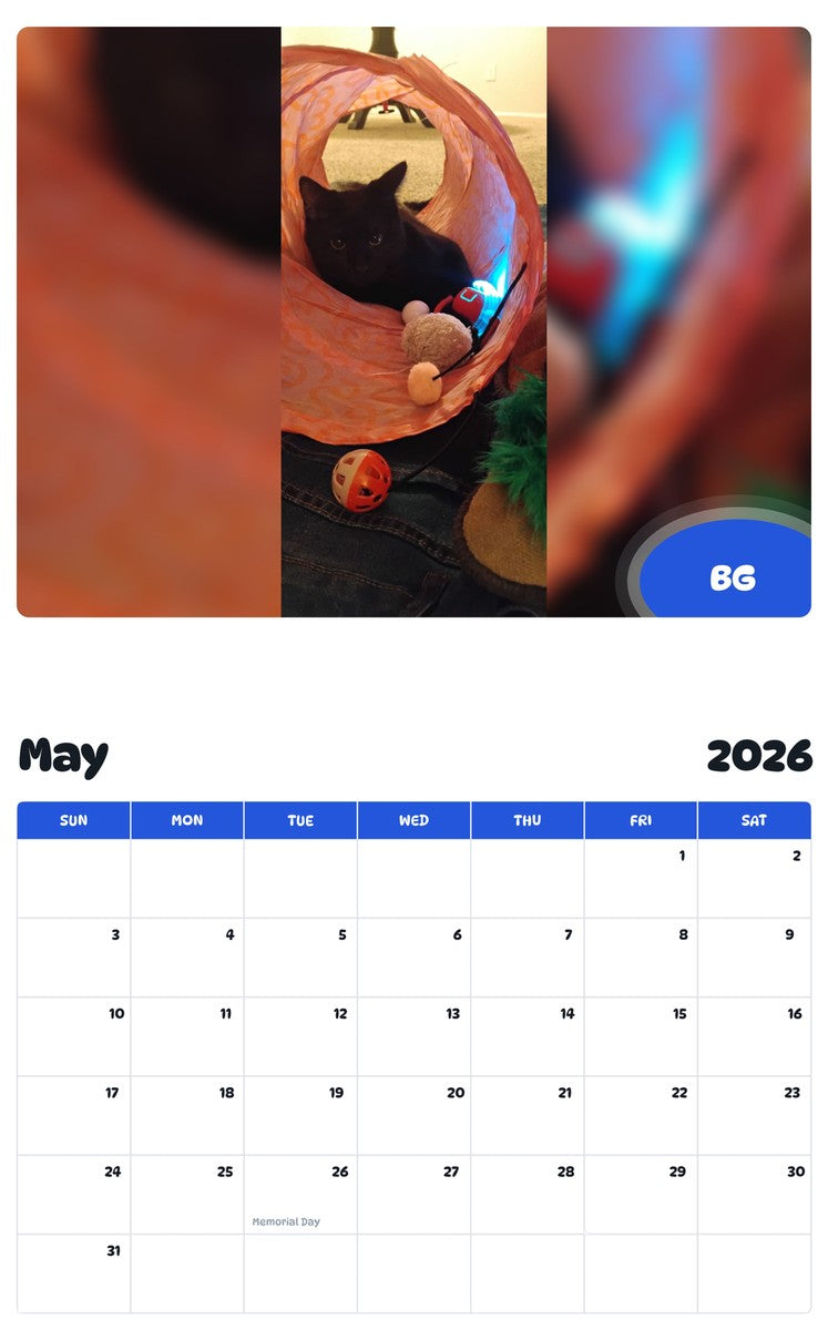 2026 - 2027 BG - Pawidols Pet Calendar